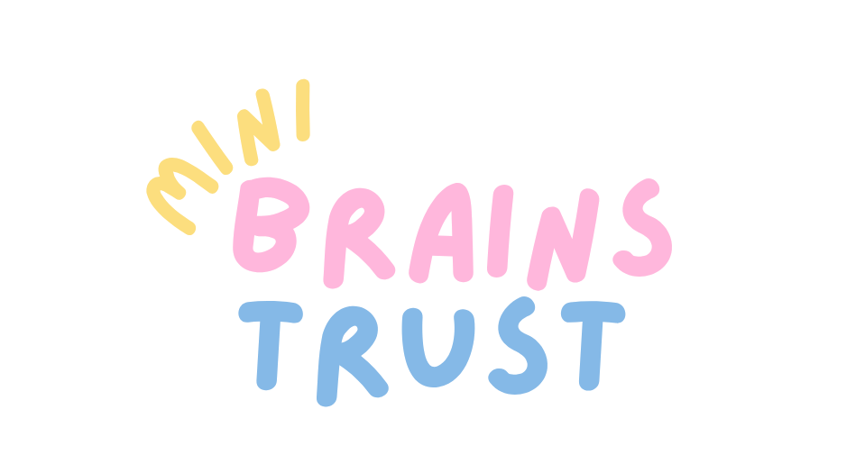 Mini Brains Trust